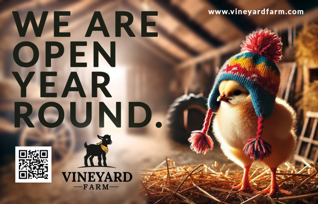 We are open year round - Vineyard Farm