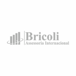 Bricoli Assessoria Internacional - logo Logotipo Bricoli Assessoria Internacional