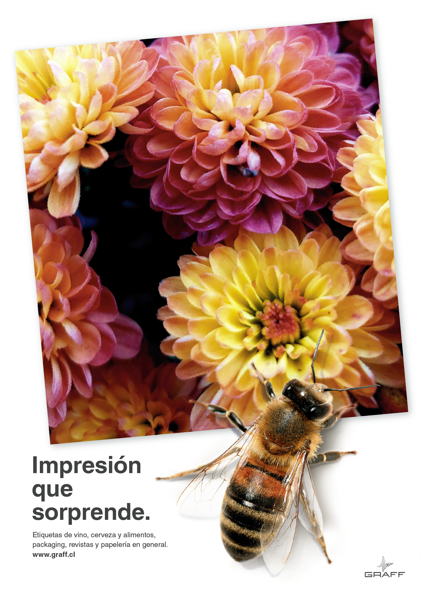 Campanhas publicitárias