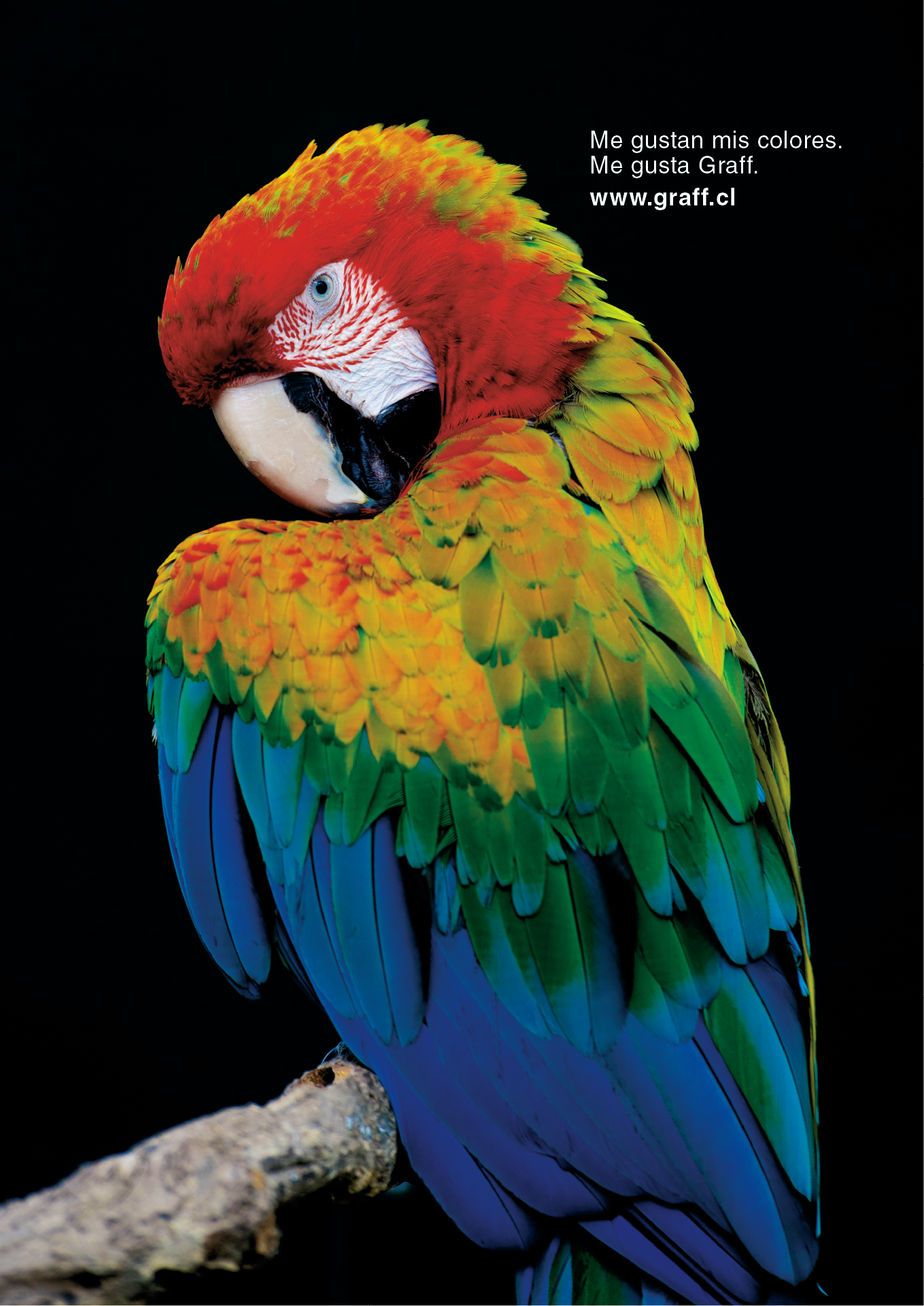 Campanhas publicitárias